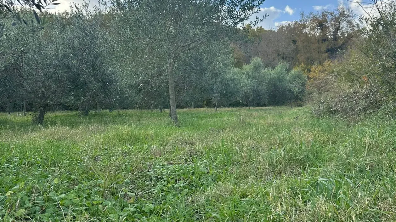 Prodaja, plac, 6000m², Ulcinj, Crna Gora