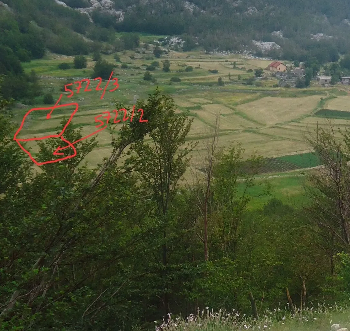 Prodaja, plac, 1309m², Njeguši, Cetinje