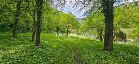 Prodaja, plac, 54000m², Plužine, Crna Gora - image 1