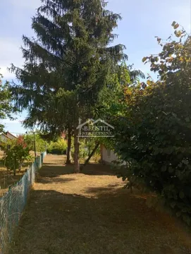View of the green yard with tall conifers and a fence. - image 2