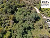 Prodaja, plac, 14000m², Kumbor, Herceg Novi - image 2