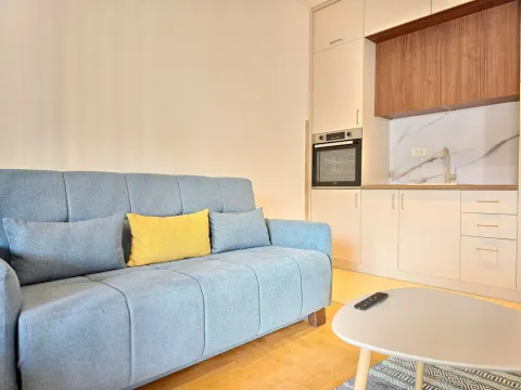 Rent, studio apartment, 42m², Bečići, Budva - image 22