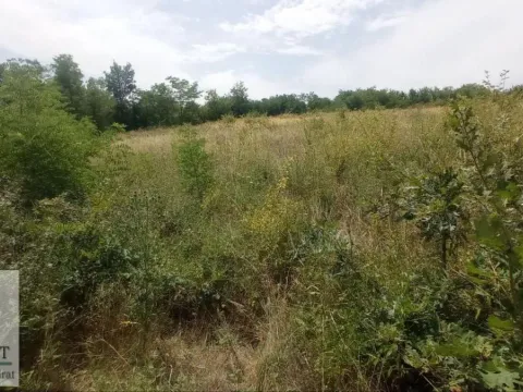 Sale, land lot, 1000m², Draževac, Obrenovac - image 6