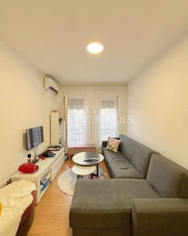 Izdavanje, stan, 45m², Zagorič, Podgorica