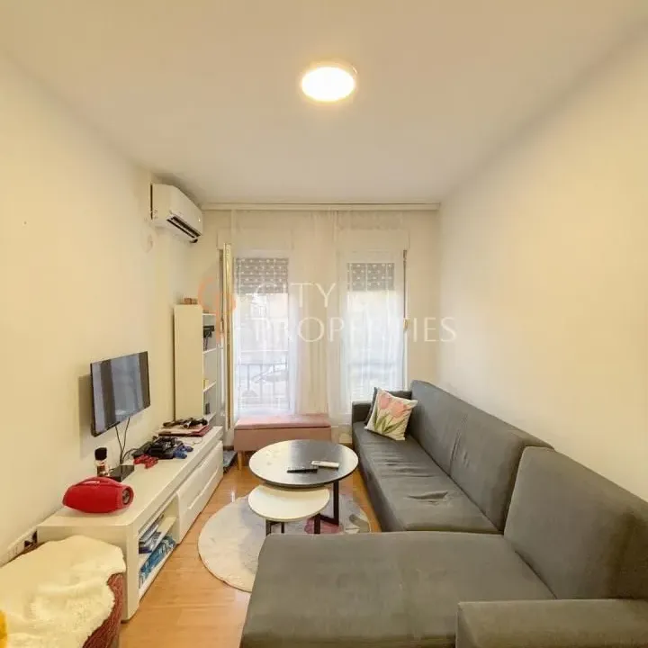 Izdavanje, stan, 45m², Zagorič, Podgorica