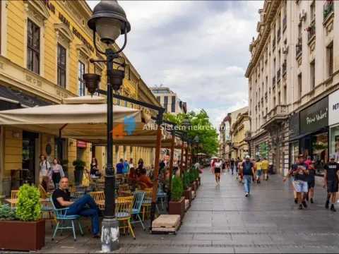 Izdavanje, dvosoban stan, 60m², Stari Grad, Beograd - image 25