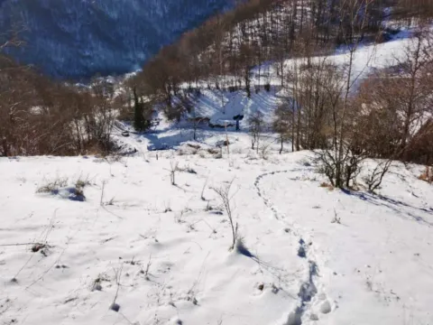 Sale, land lot, 13000m², Knjaževac, Srbija - image 7