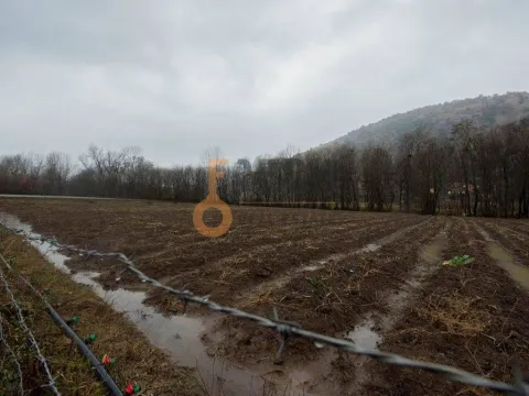 Prodaja, plac, 15000m², Danilovgrad, Crna Gora - image 3