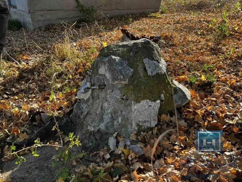 Prodaja, kuća, 20m², Lozovik, Jagodina