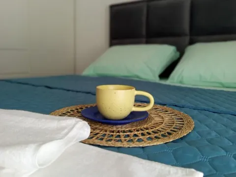 Izdavanje, jednosoban stan, 50m², Radanovići, Kotor - image 4