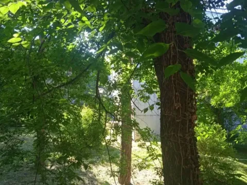 Prodaja, jednosoban stan, 38m², Brace Jerković, Voždovac Sve Podlokacije - image 15
