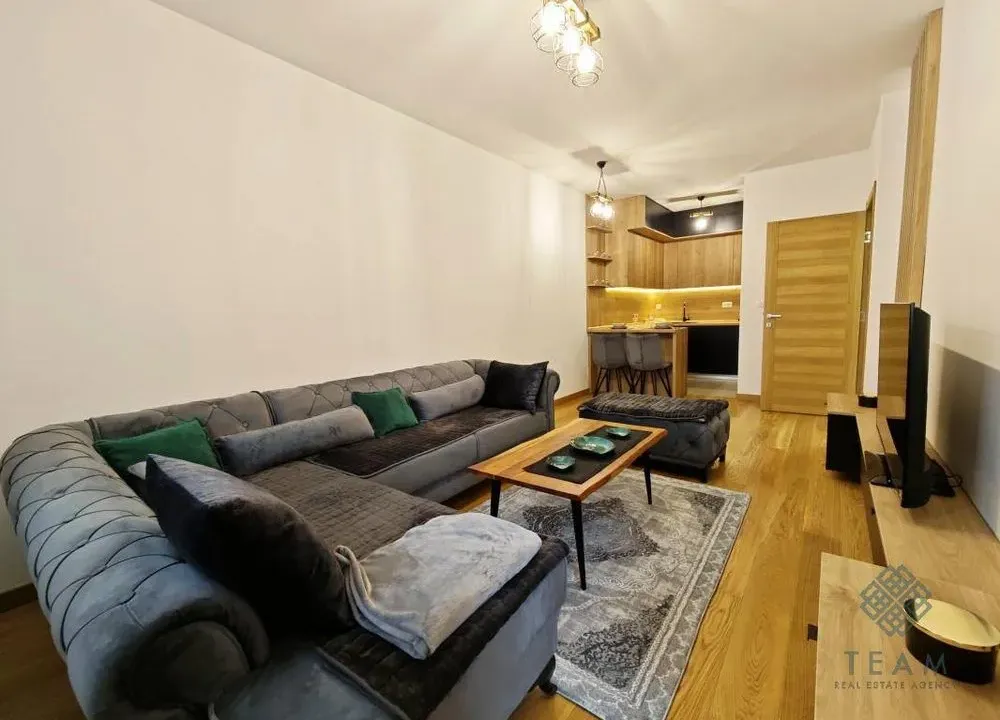 Rent, one bedroom apartment, 47m², New City, Podgorica