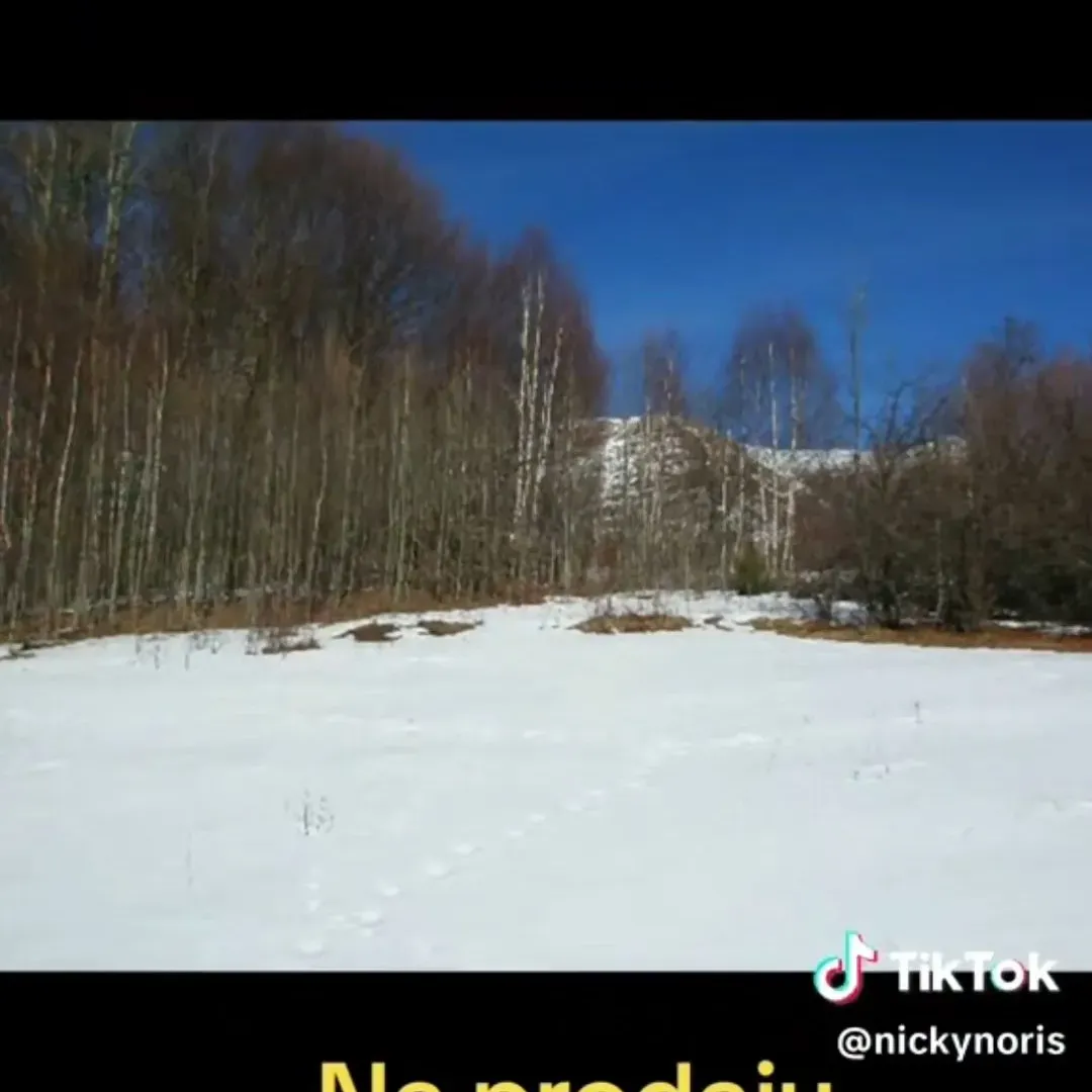 Prodaja, plac, 100000m², Sela, Kolašin