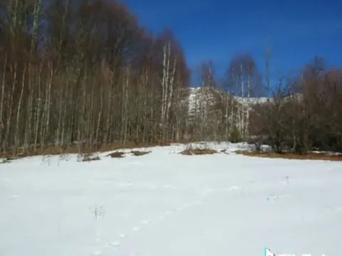 Prodaja, plac, 100000m², Sela, Kolašin - image 3