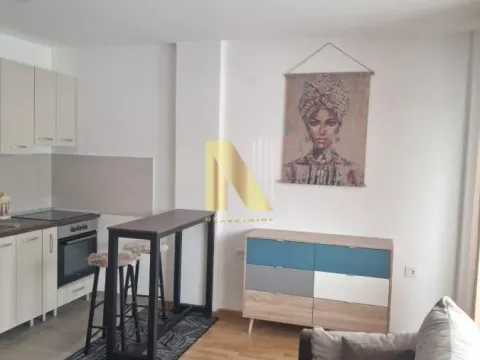 Izdavanje, garsonjera, 23m², Telep, Novi Sad Sve Podlokacije - image 5