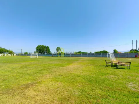 Sale, house, 250m², Zeta, Podgorica - image 7