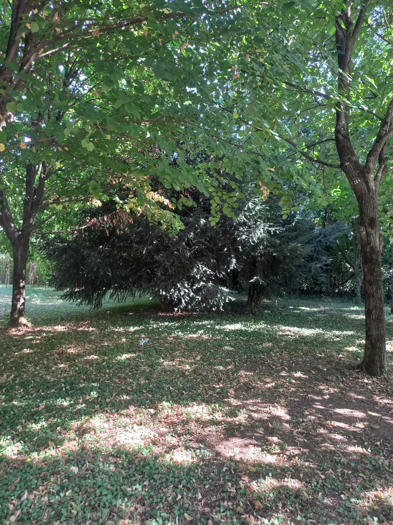 Prodaja, kuća, 127m², Novo Selo, Danilovgrad