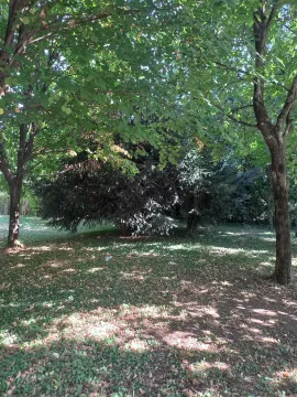 Prodaja, kuća, 127m², Novo Selo, Danilovgrad - image 7