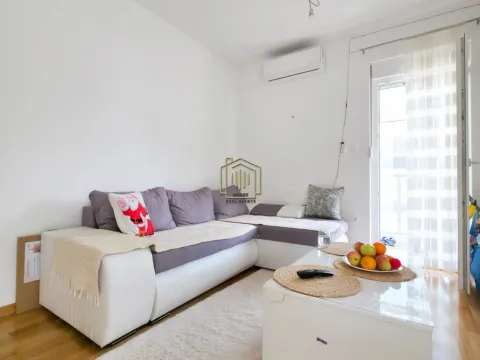Prodaja, jednosoban stan, 45m2, Zagorič, Podgorica