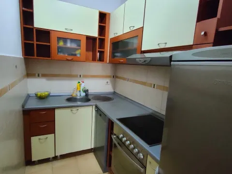 Izdavanje, jednosoban stan, 54m², Preko Morače, Podgorica - image 9