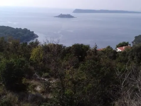 Prodaja, plac, 5218m², Luštica, Tivat - image 5