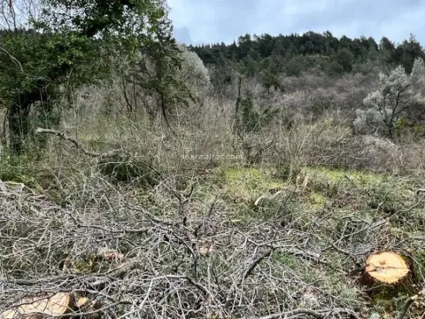 Sale, land lot, 5520m², Dub, Kotor - image 11