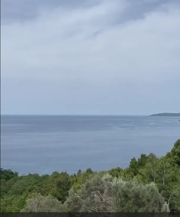 Pogled na more sa zelenilom u prednjem planu.