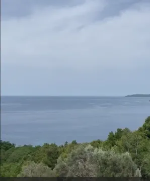 Pogled na more sa zelenilom u prednjem planu. - image 2