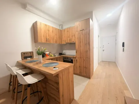 Izdavanje, garsonjera, 40m², Soho City, Bar - image 6