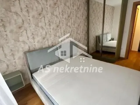 Izdavanje, dvosoban stan, 49m², Južni Bulevar, Vračar Sve Podlokacije - image 8
