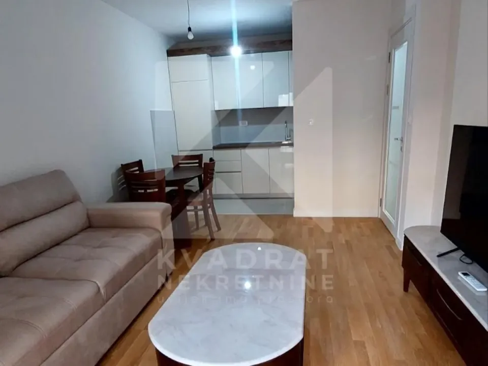 Izdavanje, jednosoban stan, 40m², Tuški Put, Podgorica