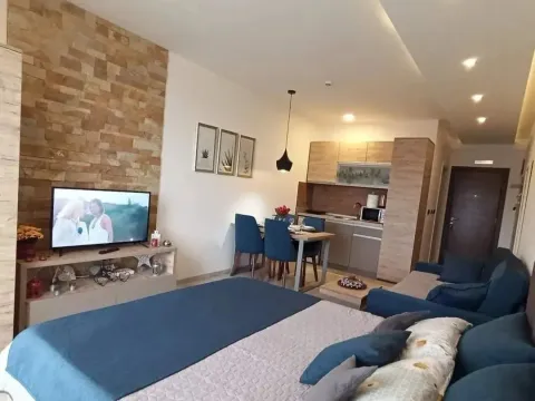 Prodaja, jednosoban stan, 28m², Kraljevi Čardaci, Kopaonik - image 7