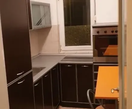 Izdavanje, dvosoban stan, 50m², Grbavica, Novi Sad Sve Podlokacije - image 5