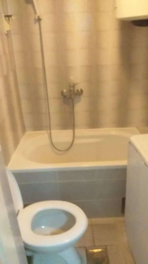 Simple bathroom with a bathtub and a toilet.