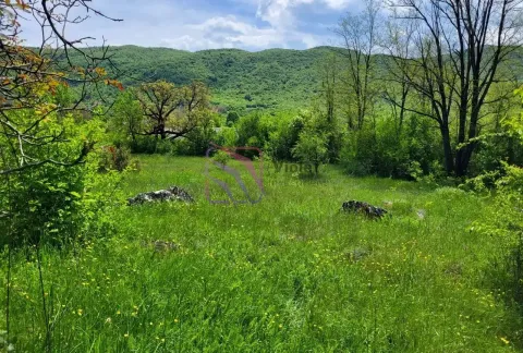 Zeleni travnati plac okružen šumom sa pogledom na brda. - image 4
