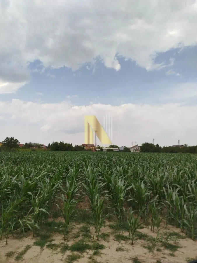 Prodaja, plac, 723m², Veternik, Novi Sad Sve Podlokacije