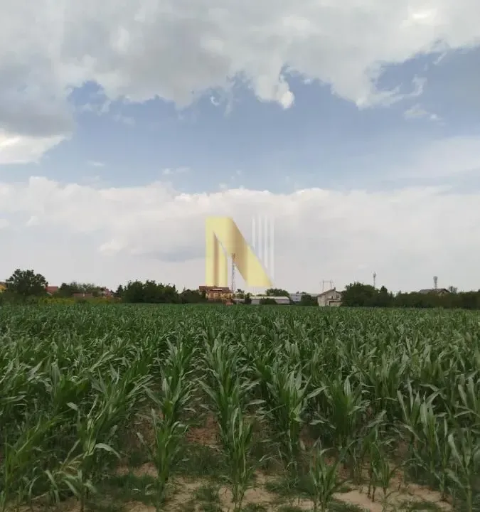 Sale, land lot, 723m², Veternik, Novi Sad Sve Podlokacije