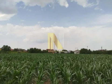 Sale, land lot, 7m², Veternik, Novi Sad Sve Podlokacije