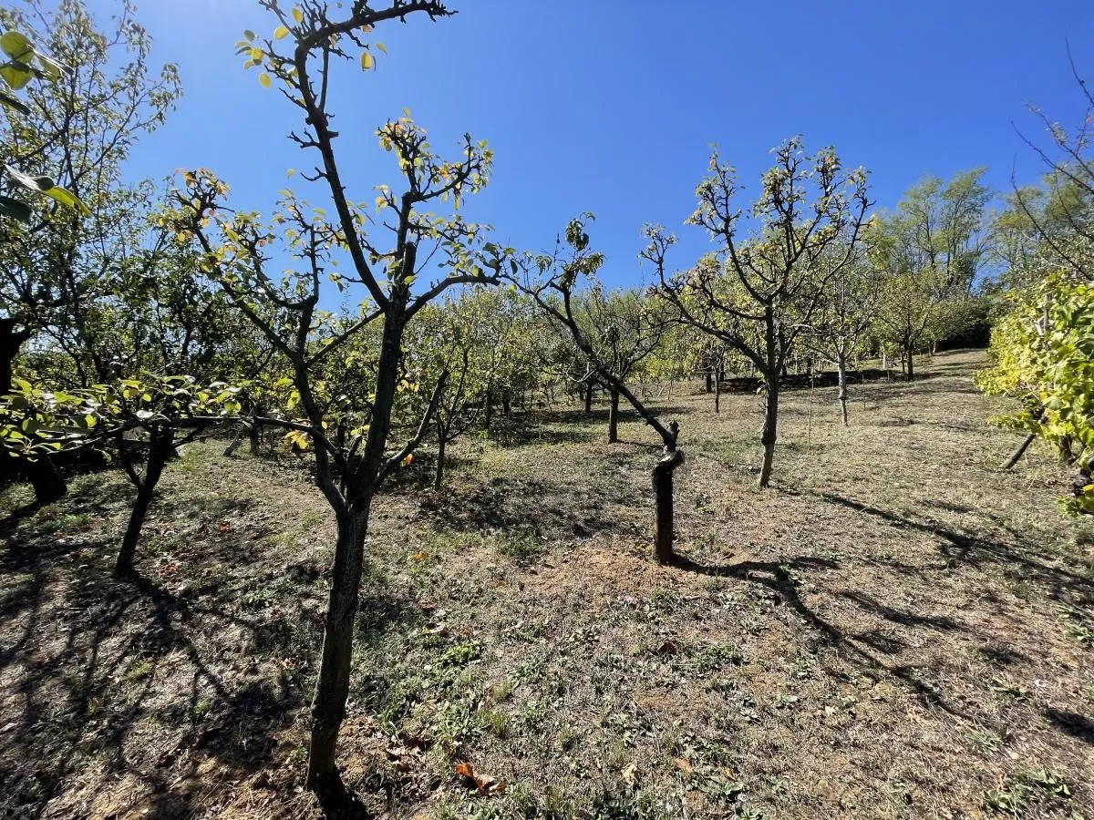 Prodaja, kuća, 54m², Paragovo, Petrovaradin