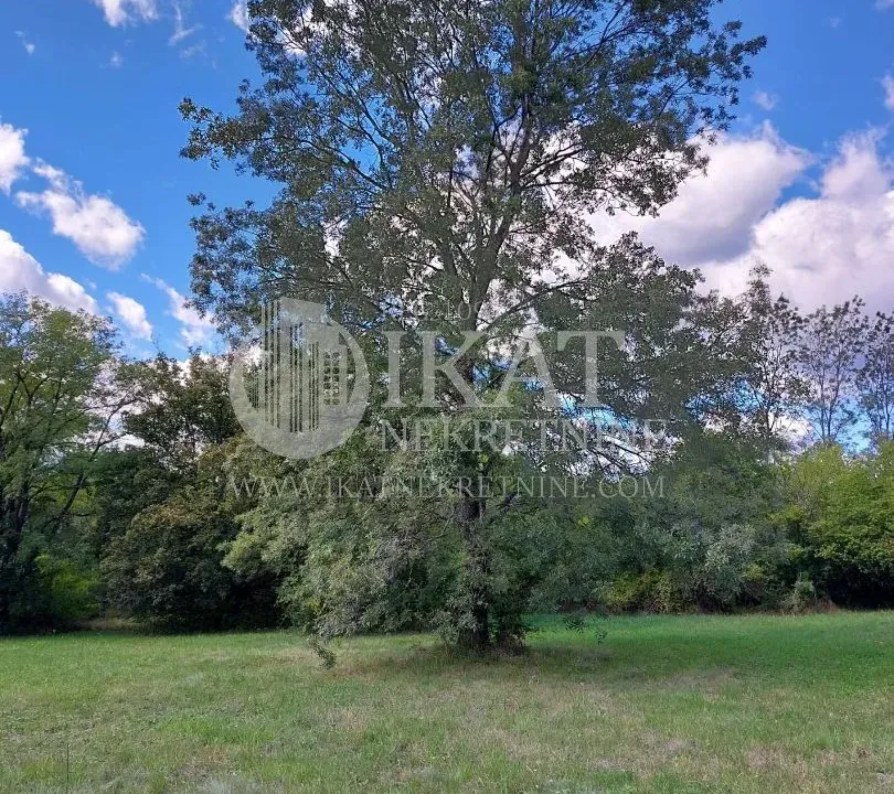 Sale, land lot, Kosmaj, Sopot