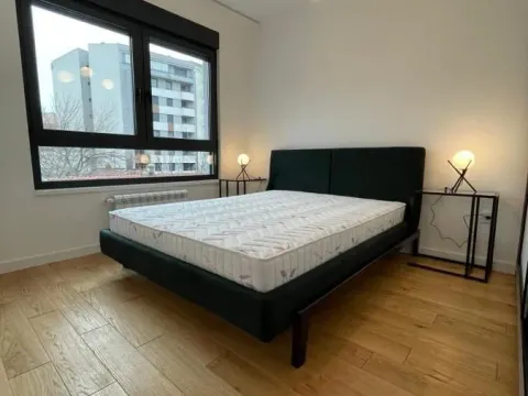 Izdavanje, dvosoban stan, 50m², Crveni Krst, Beograd - image 16