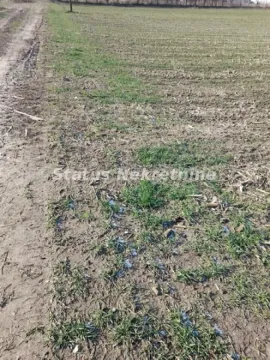 Pogled na ravno zemljište pored seoskog puta. - image 2