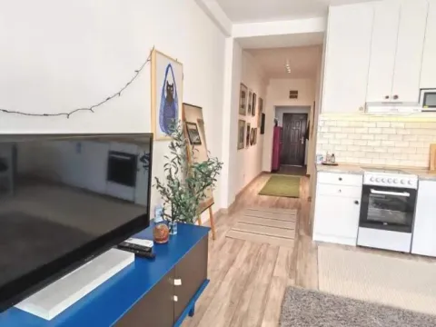 Rent, two bedroom apartment, 40m², Stari Grad, Beograd - image 10
