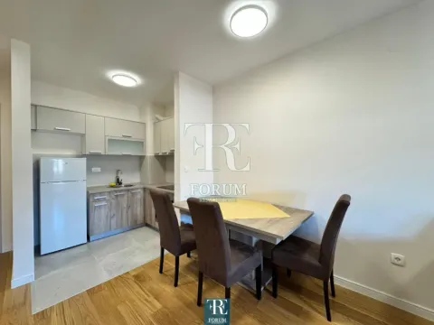 Izdavanje, jednosoban stan, 40m², Central Point, Podgorica - image 4