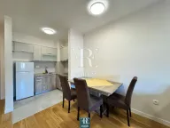 Izdavanje, jednosoban stan, 40m², Central Point, Podgorica - image 4