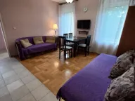 Rent, one bedroom apartment, 42m², Centar, Cetinje - image 1