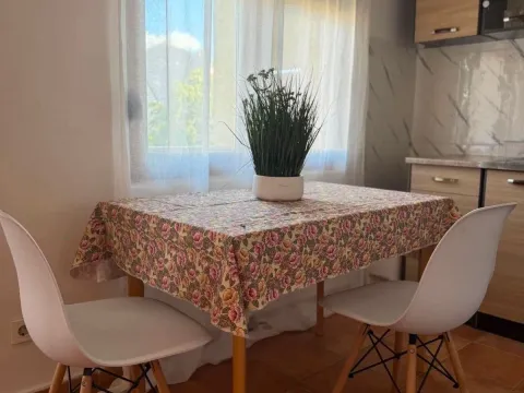 Izdavanje, jednosoban stan, 45m², Stari Aerodrom, Podgorica - image 3