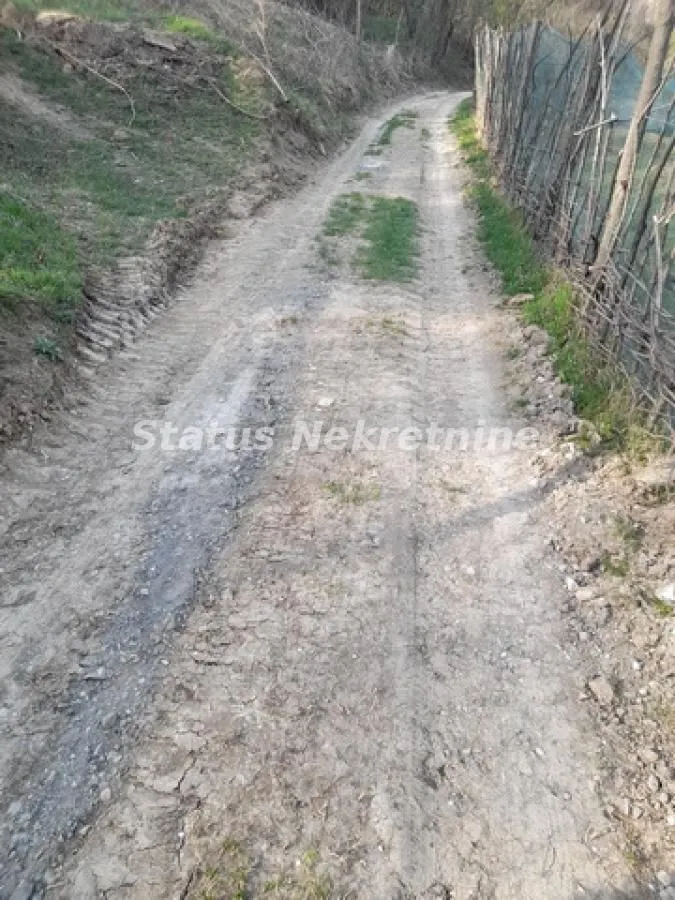 Prodaja, plac, 1544m², Sremska Kamenica, Petrovaradin