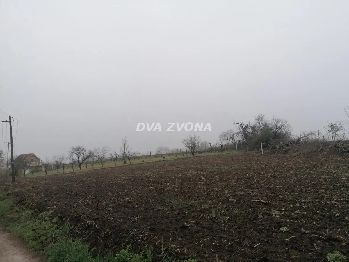 Prodaja, plac, 1300m², Novi Slankamen, Inđija