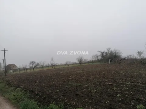 Prodaja, plac, 1300m², Novi Slankamen, Inđija - image 3